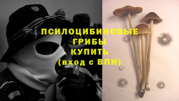 COCAINE Краснослободск
