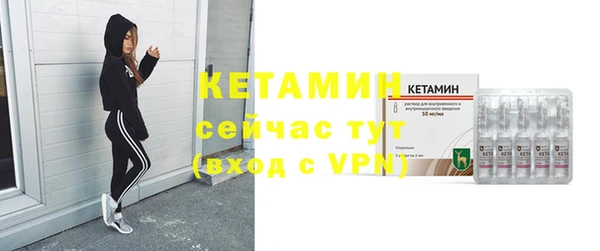крисы Кулебаки