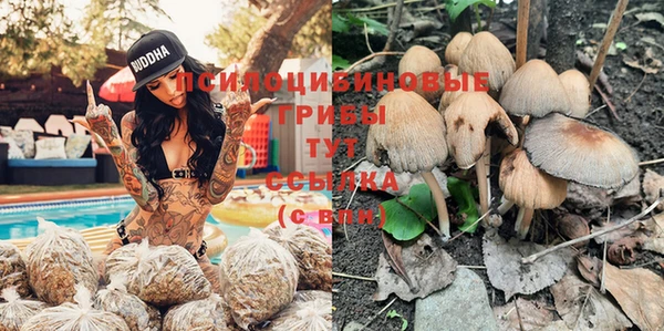 COCAINE Краснослободск