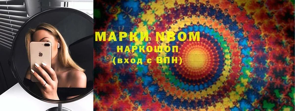 крисы Кулебаки